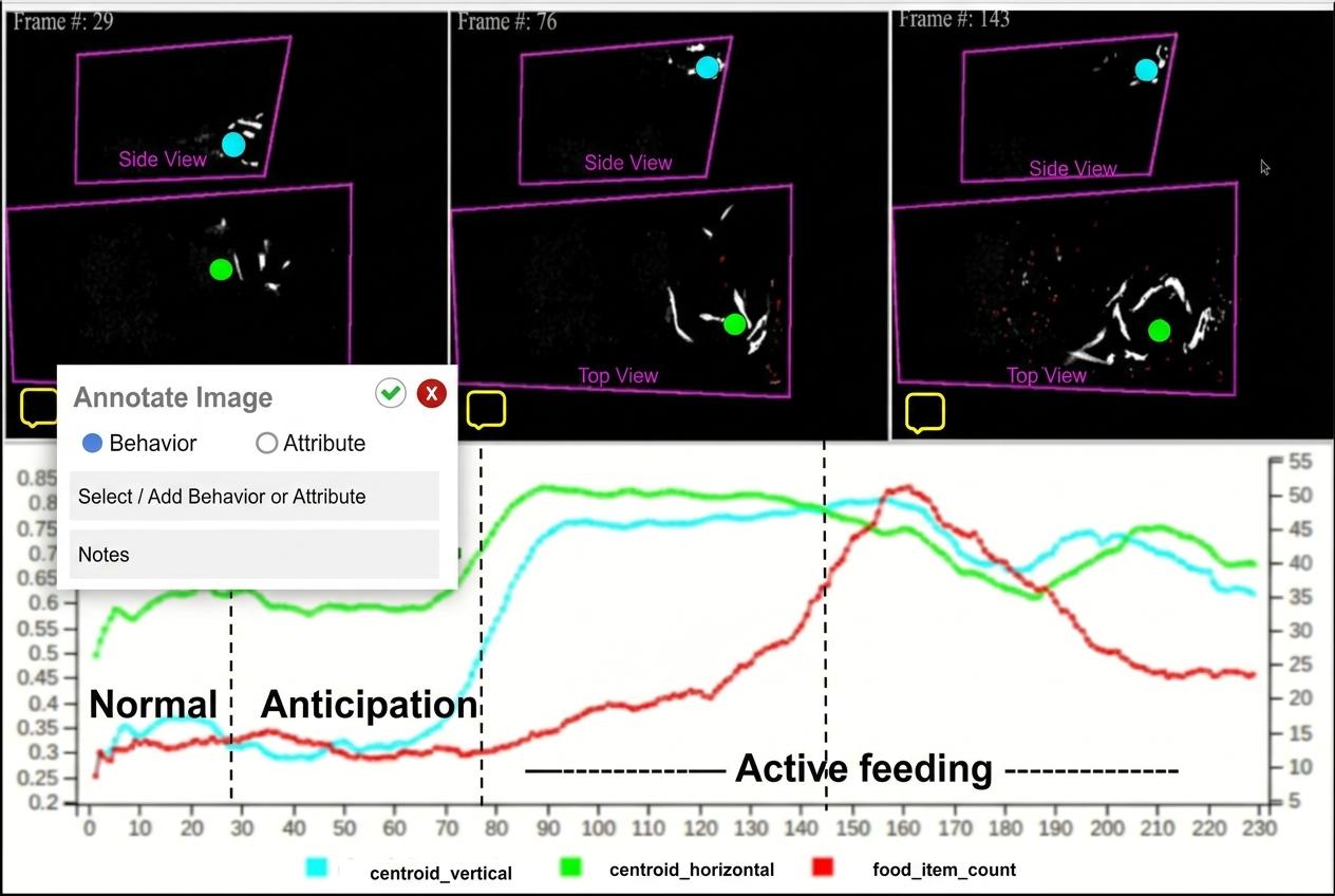 PiscisTrack charts of group position and food count during feeding